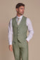 Cavani caridi sage W/coat